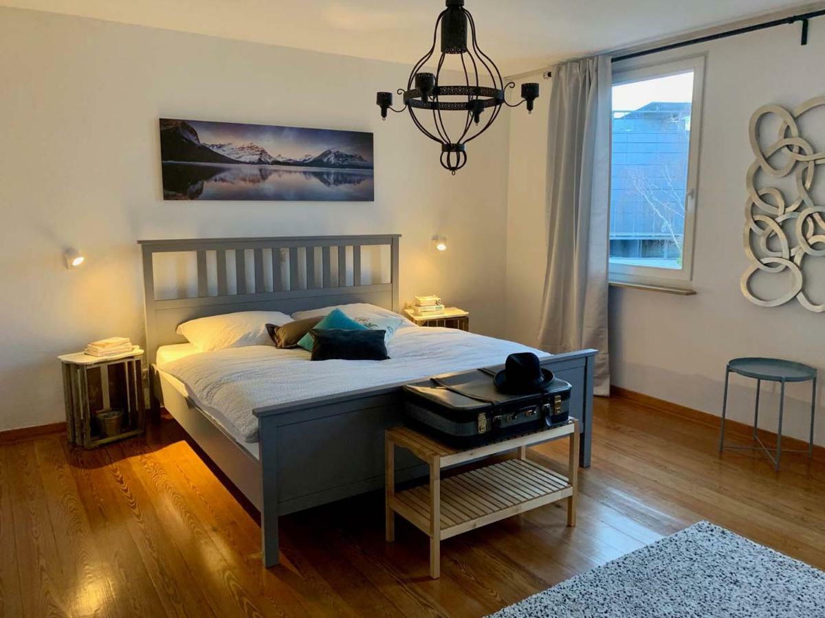 Deluxe Business City Apartments Metzingen Villa Landenberger Esterno foto